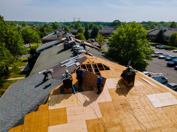 Best Flat Roof Repair Services  in Rheems, PA