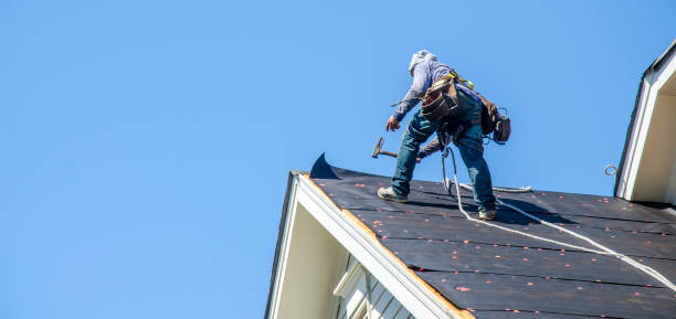 Best Roof Gutter Cleaning  in Rheems, PA